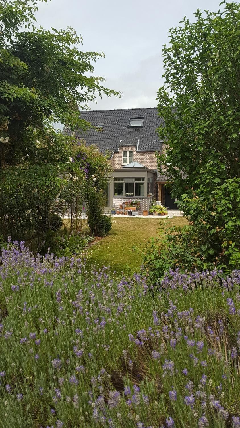 Facade/entrance, Garden, Garden view