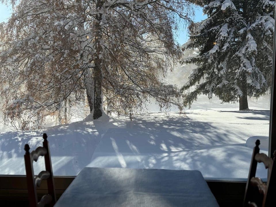 Restaurant/places to eat, Restaurant/places to eat, Winter, Banquet/Function facilities, Dining area, Garden view, Garden view, Breakfast, Lunch, Dinner