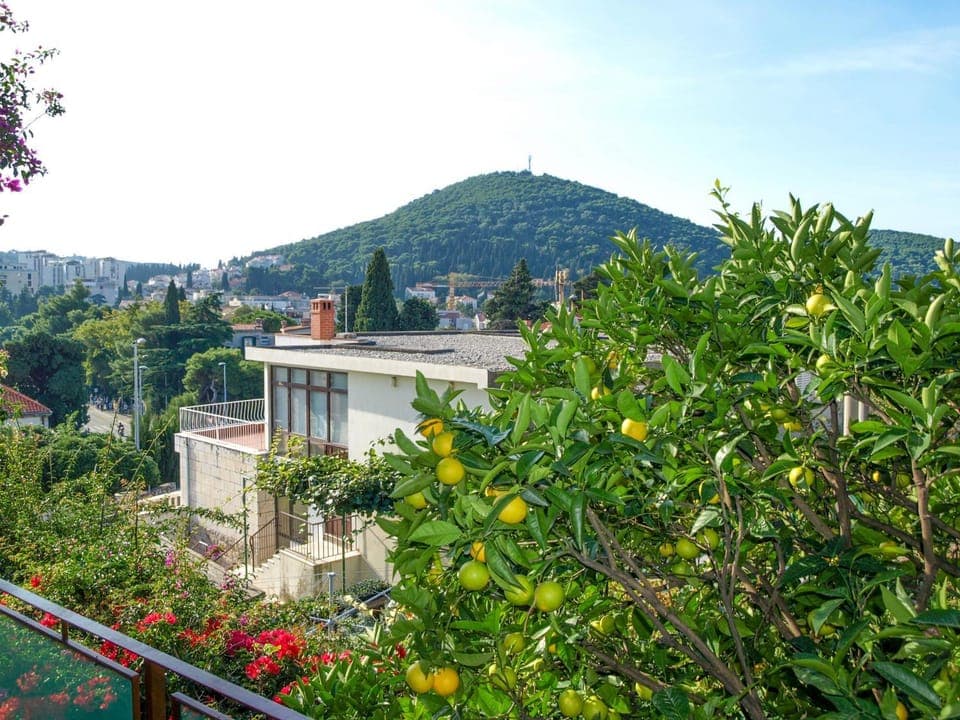Balcony/Terrace, Balcony/Terrace, City view, Garden view
