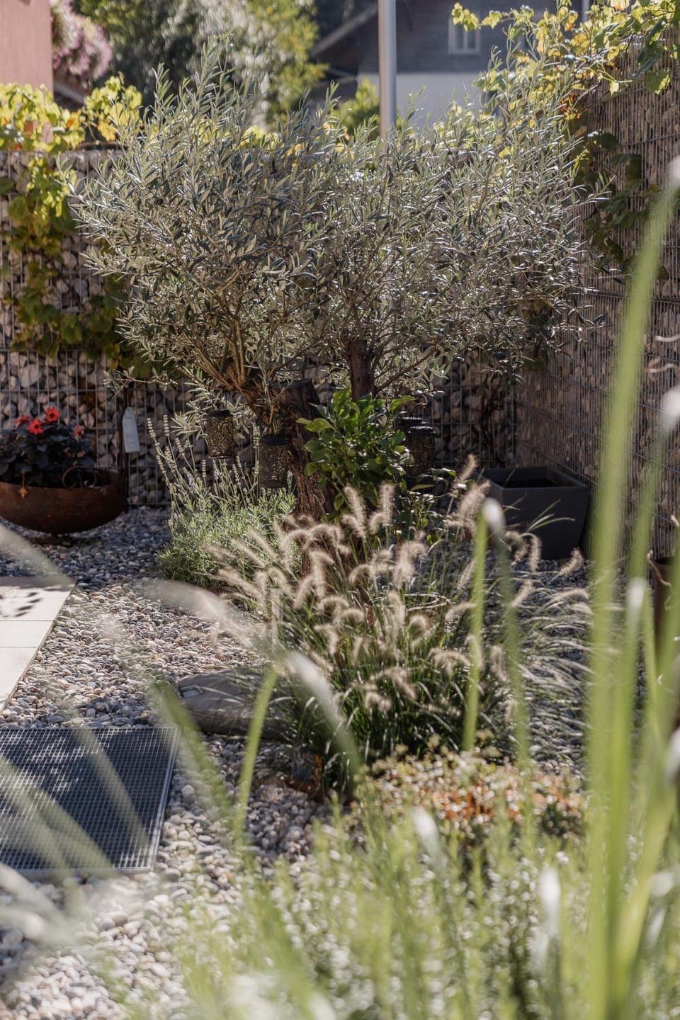 Garden, TV and multimedia