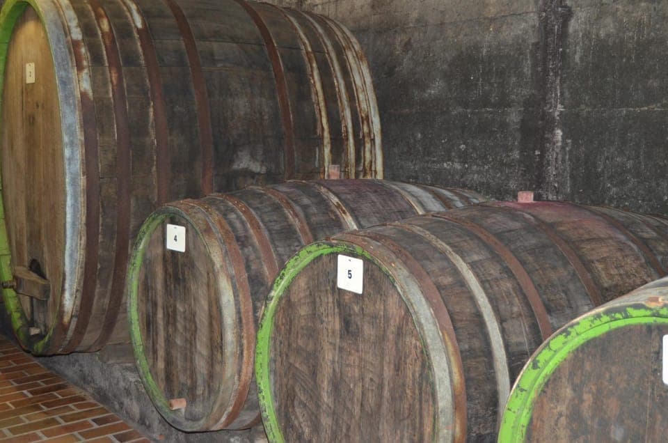 On site, Area and facilities