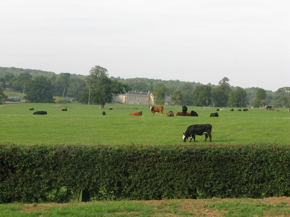 View (from property/room), Landmark view