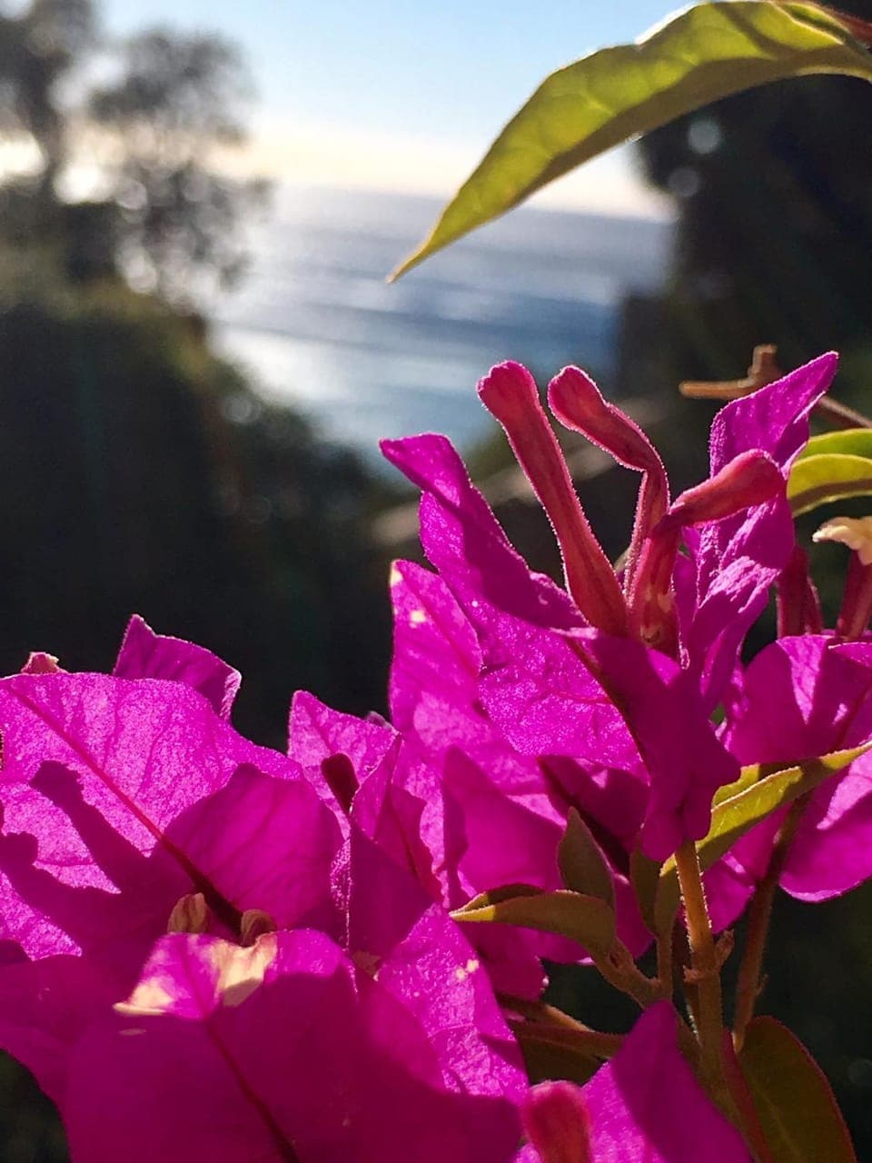 Day, Winter, Beach, On site