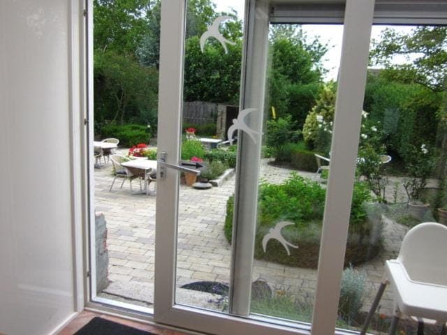 Patio, Garden, Dining area, Garden view