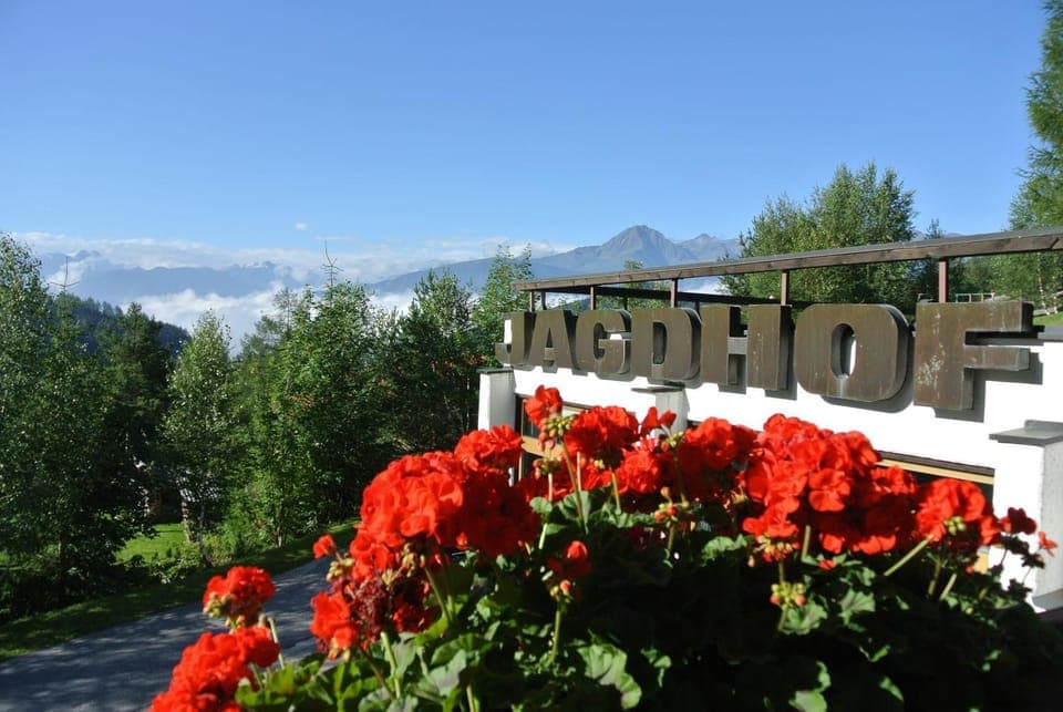 Garden, Mountain view