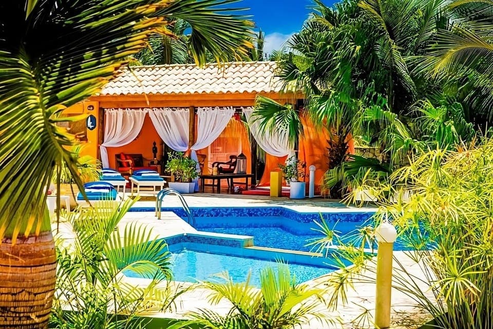 Day, Natural landscape, Garden view, Pool view, Swimming pool, sunbed