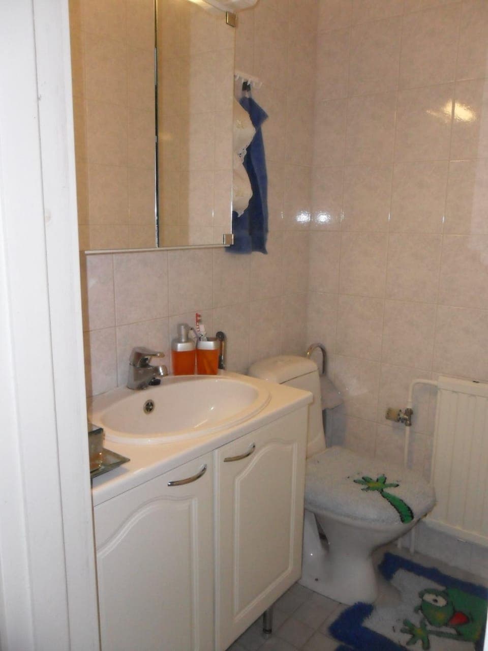 Toilet, Other