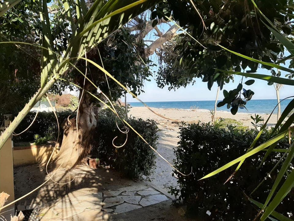 Natural landscape, Garden, Beach, Sea view