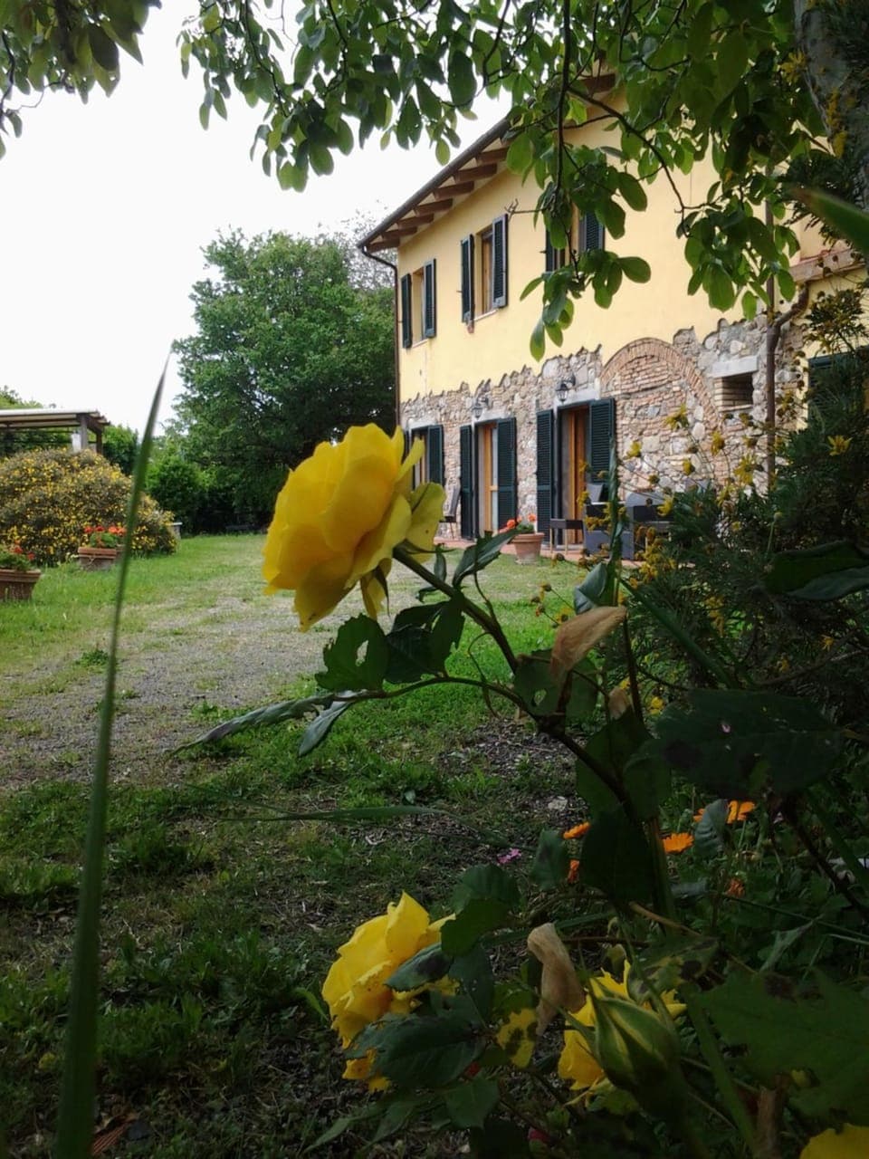 Facade/entrance, Garden view