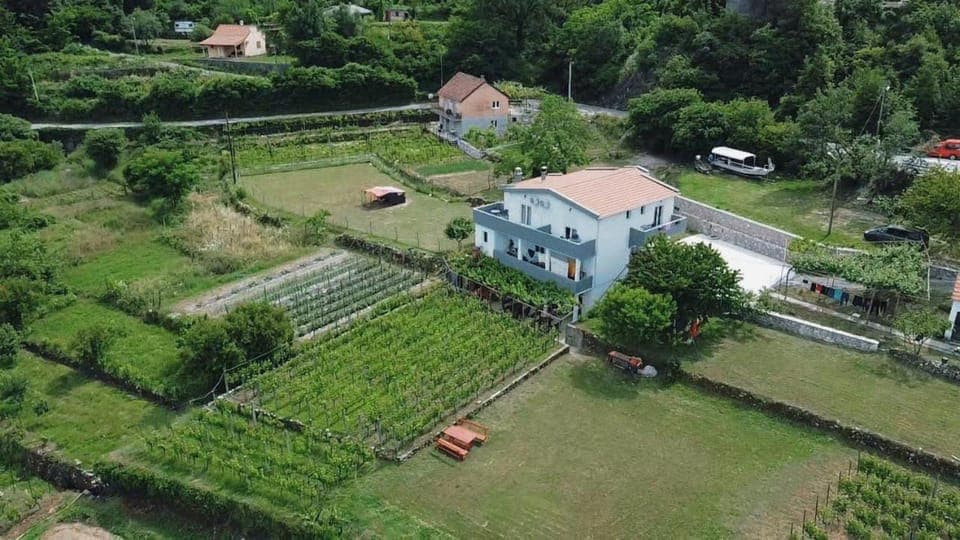 Property building, Day, Bird's eye view, View (from property/room), Garden view