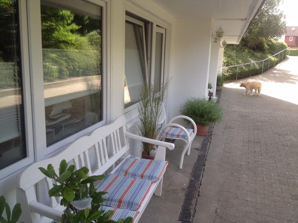 Facade/entrance, Pets