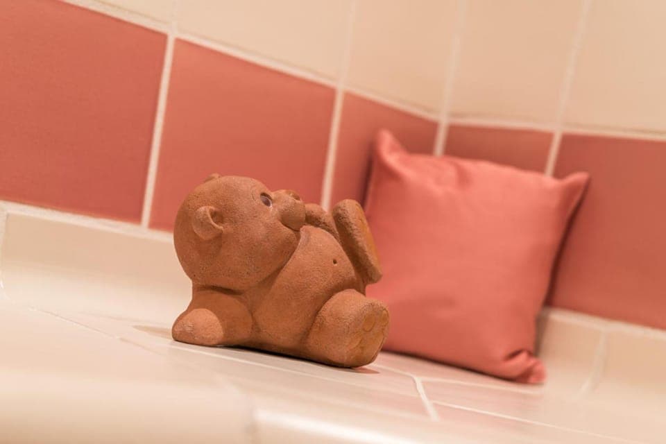 Spa and wellness centre/facilities