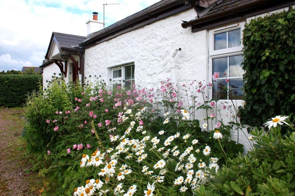 Property building, Facade/entrance, Day, Garden, Garden view