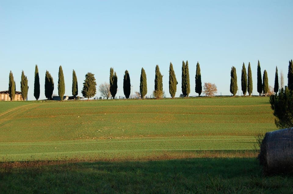 Natural landscape, Garden