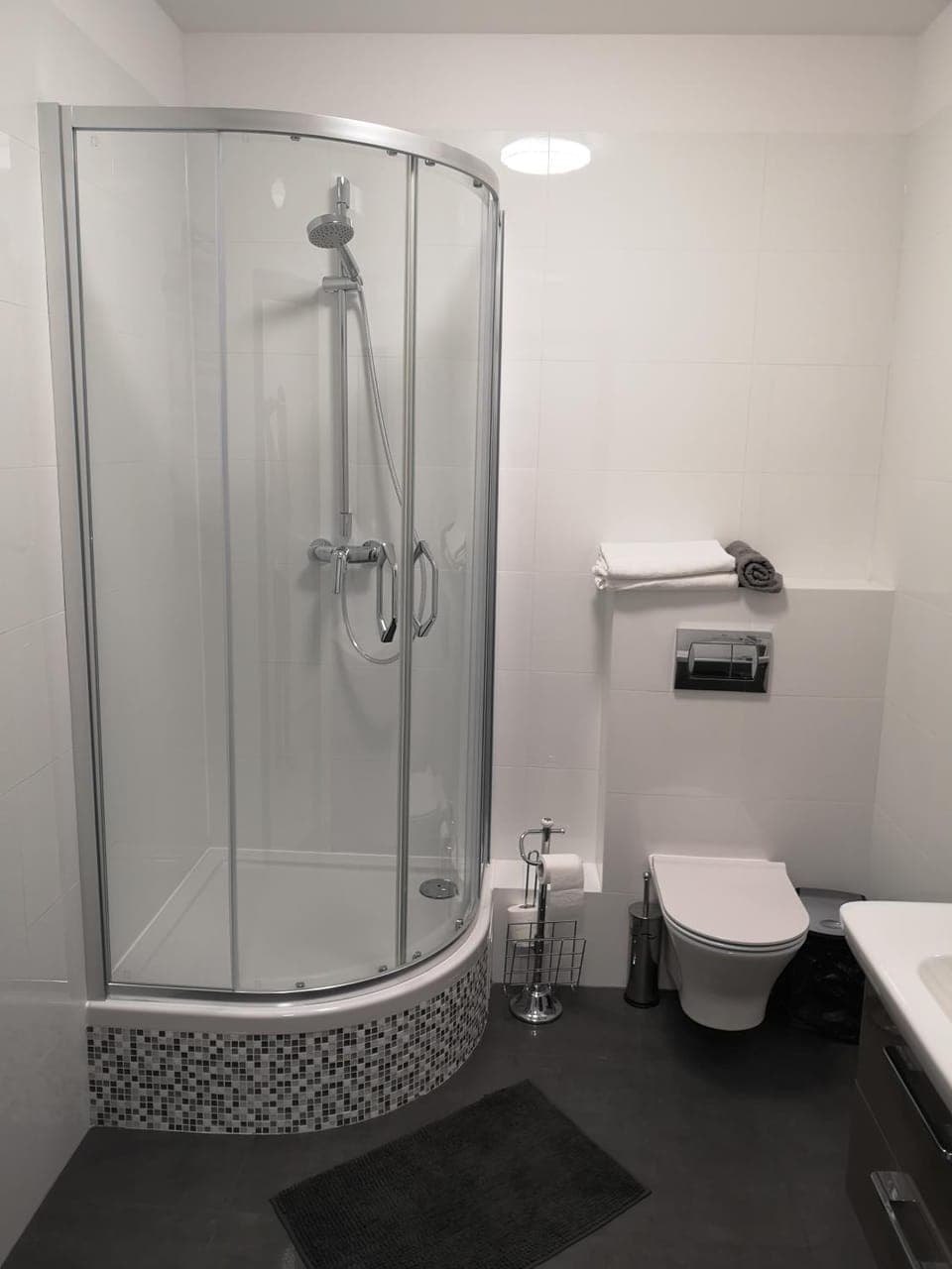 Shower, Toilet, Bathroom