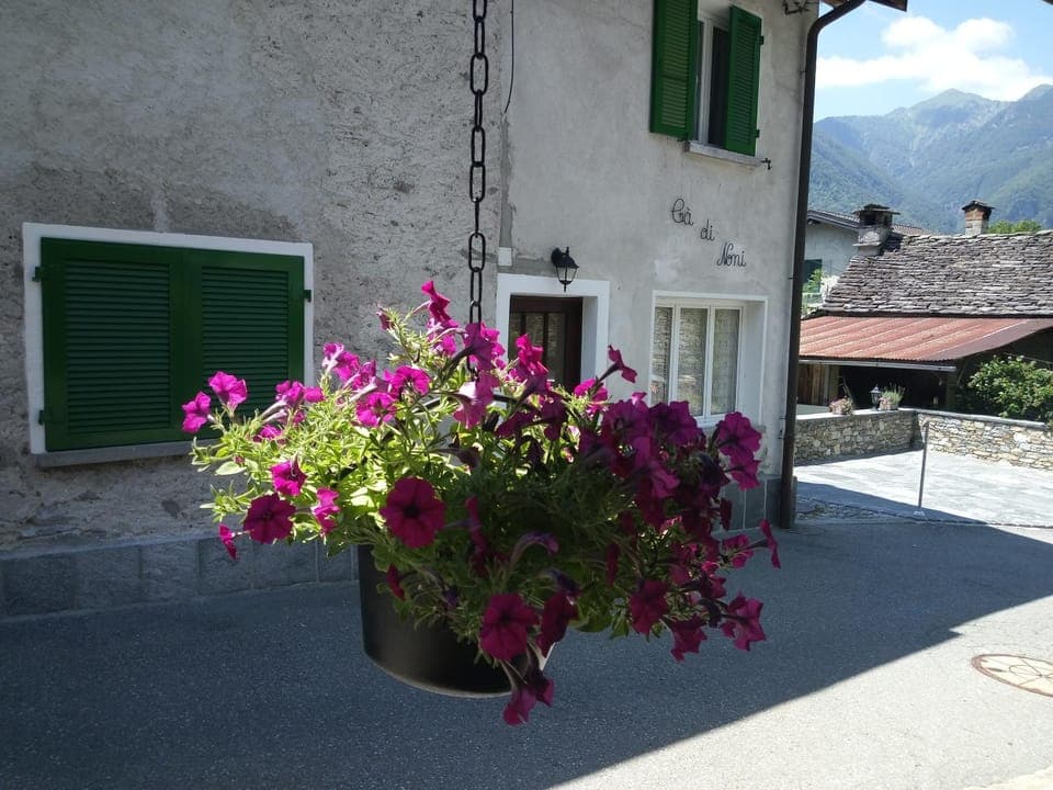 Facade/entrance, Mountain view
