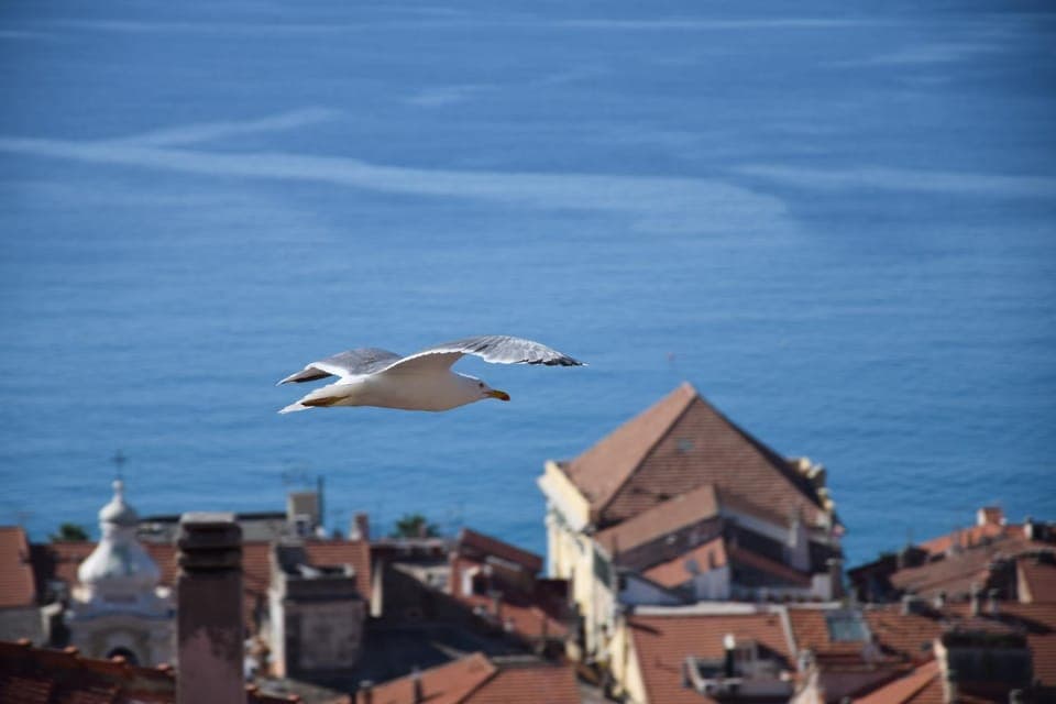 View (from property/room), View (from property/room)