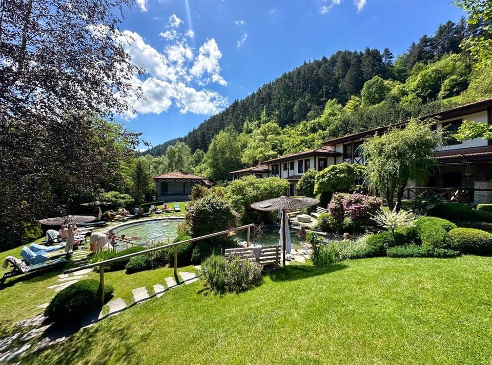 Natural landscape, Garden, Garden view, Pool view