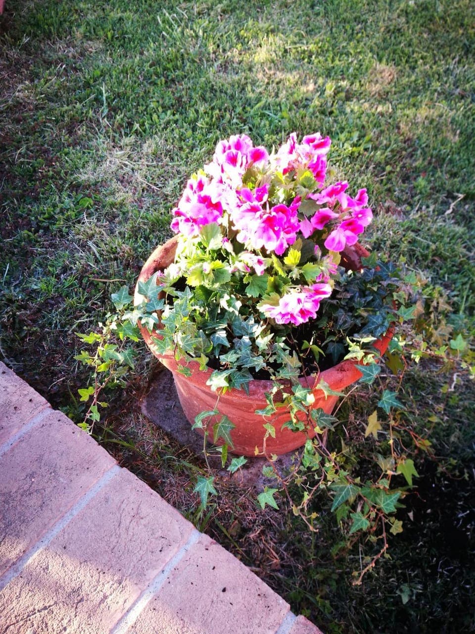 Other, Decorative detail