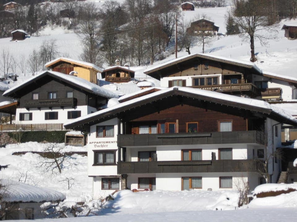 Property building, Natural landscape, Winter
