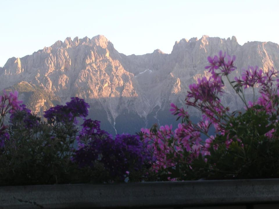 Natural landscape, Summer