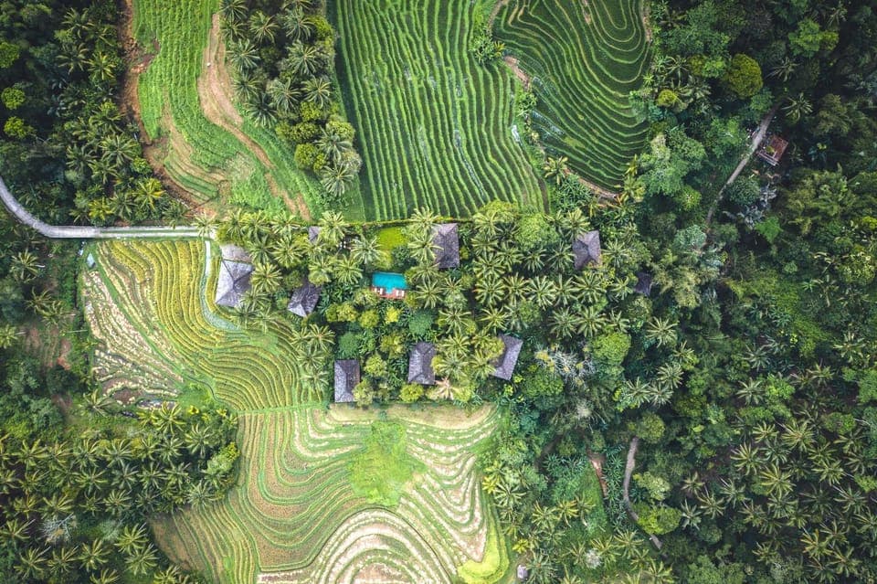 Garden, View (from property/room)