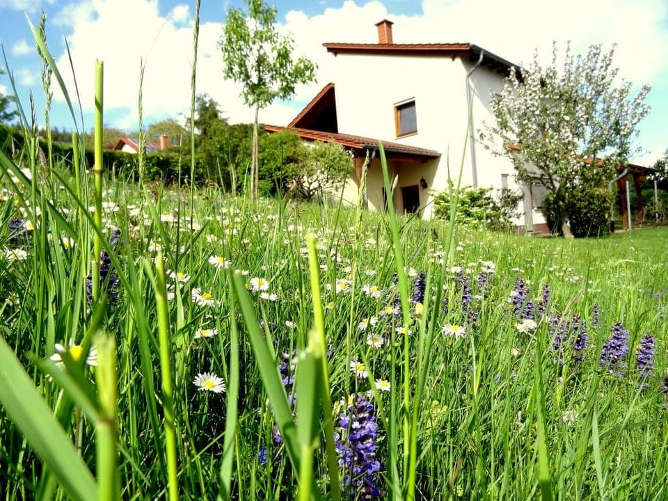 Property building, Other