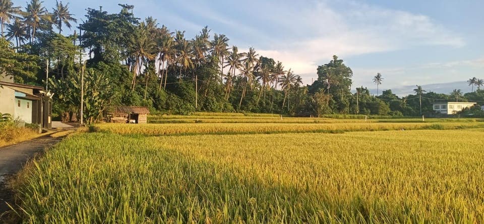 Day, Natural landscape