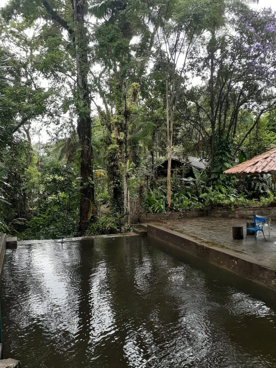 Toca da Onça Vacation rental in State of Rio de Janeiro