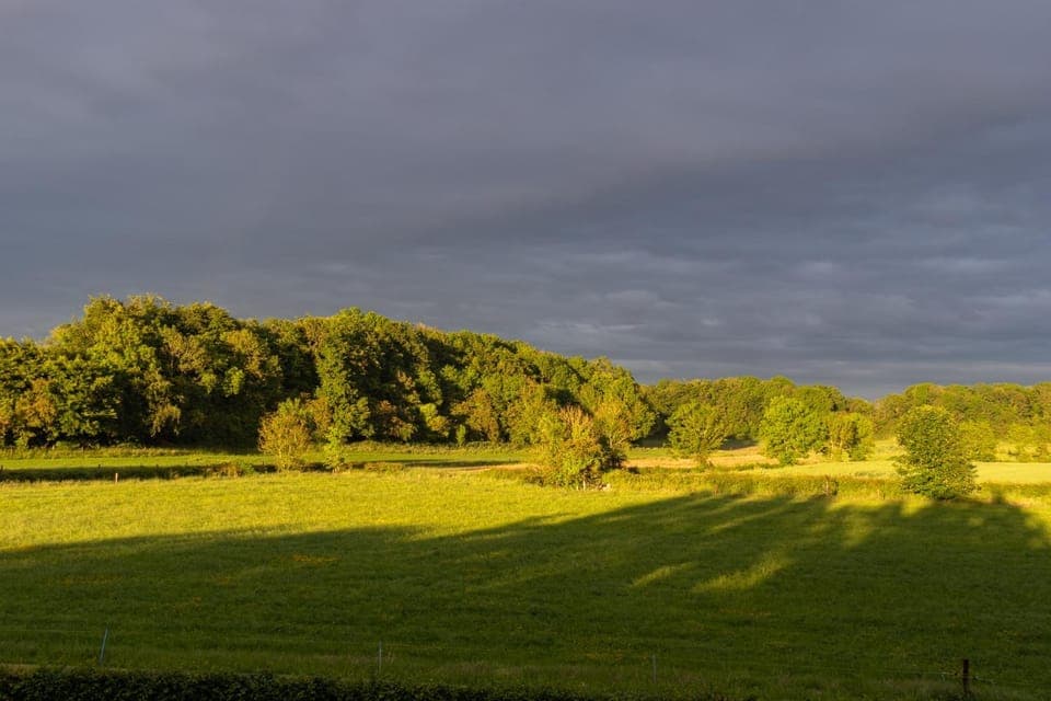 Natural landscape