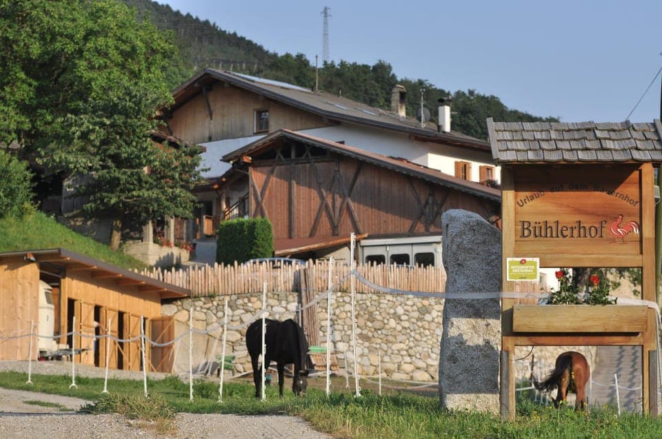 Facade/entrance, Spring, Day, Property logo or sign, Property logo or sign, Horse-riding, Horse-riding, On site, Pets, Pets, Mountain view