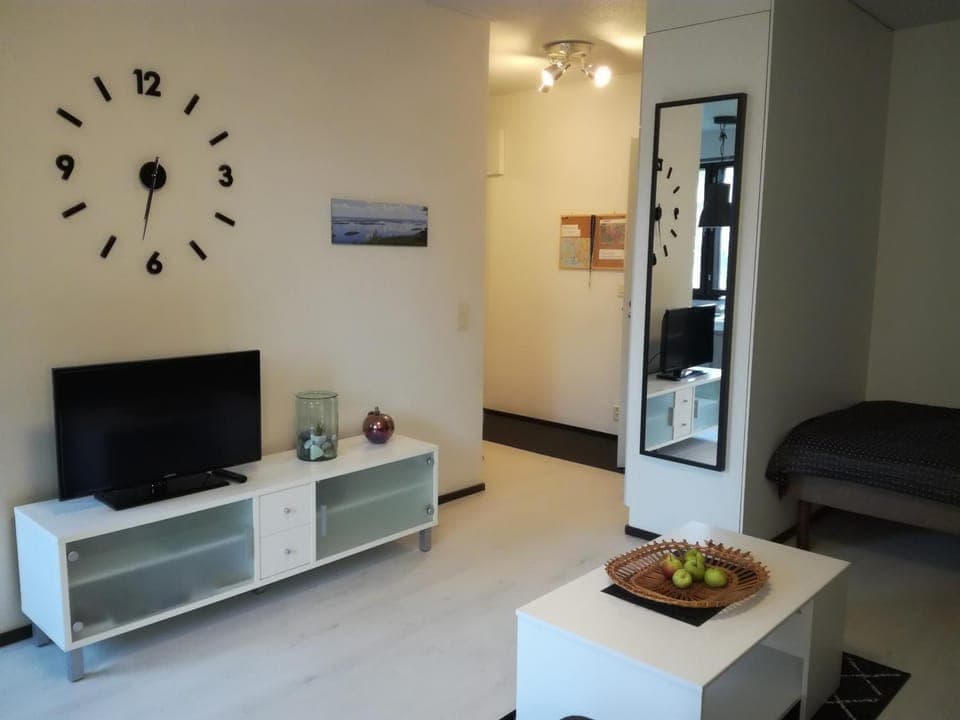 A lovely one-room apartment near the city centre. Apartment in Finland