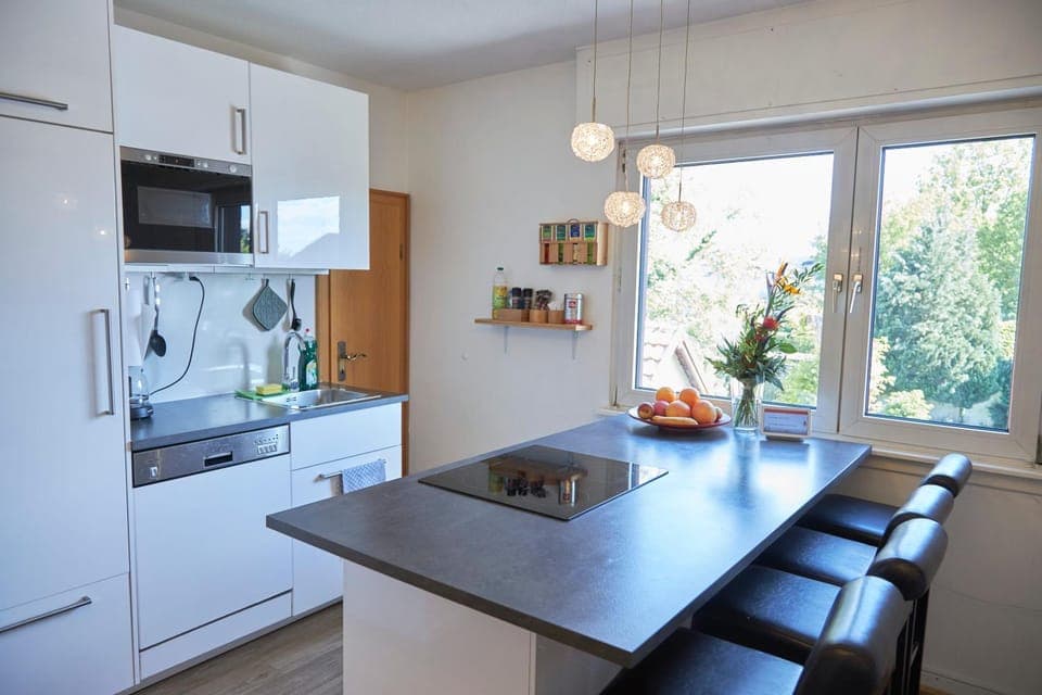 dishwasher, minibar, stove, kitchen