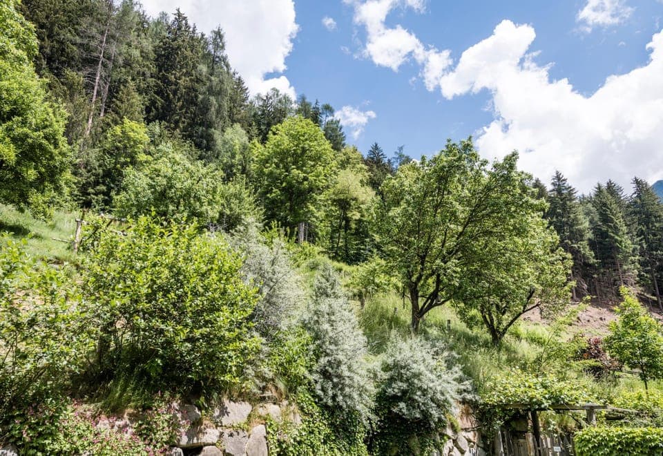 Natural landscape, Garden, Garden view