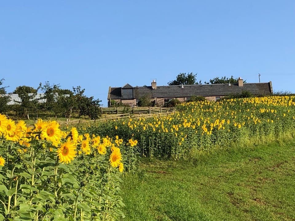Property building, Natural landscape, View (from property/room), Garden view