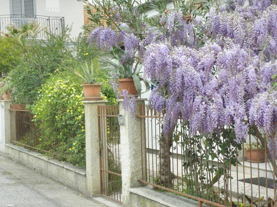 Facade/entrance, Garden