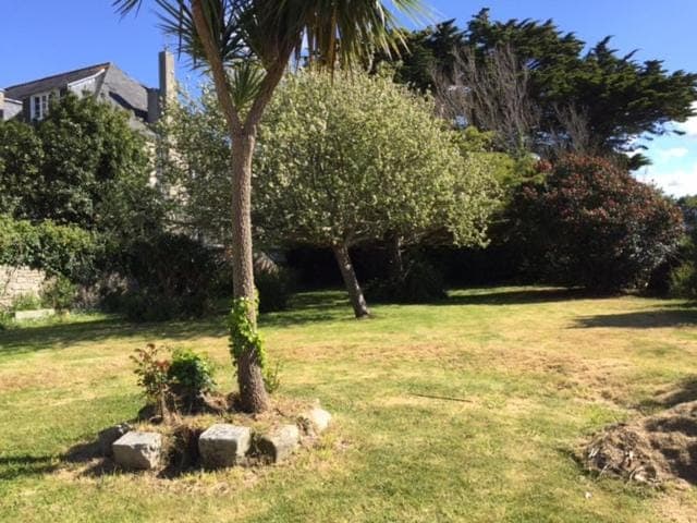 Spring, Day, Natural landscape, Garden, Garden view