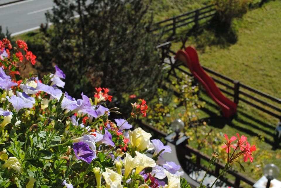Garden, View (from property/room)