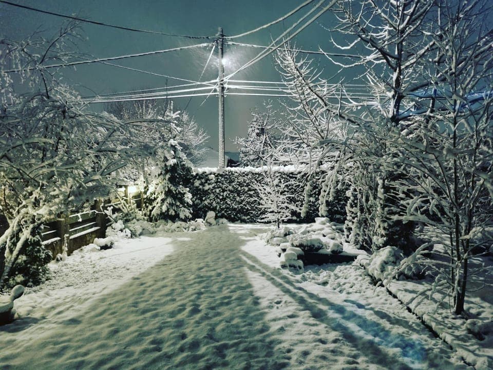 Natural landscape, Winter