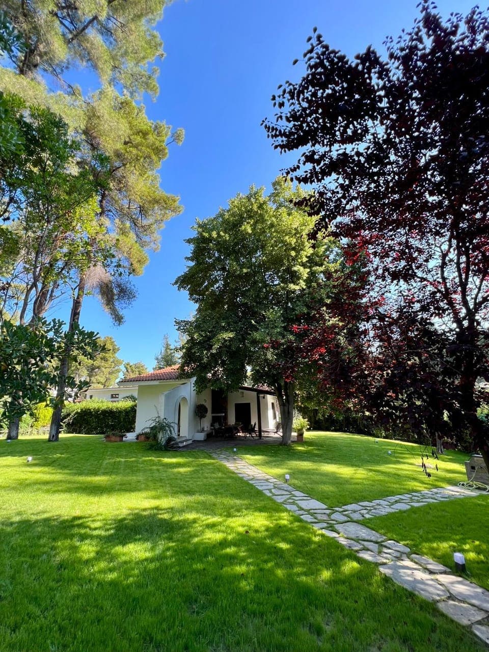 Day, Natural landscape, Garden