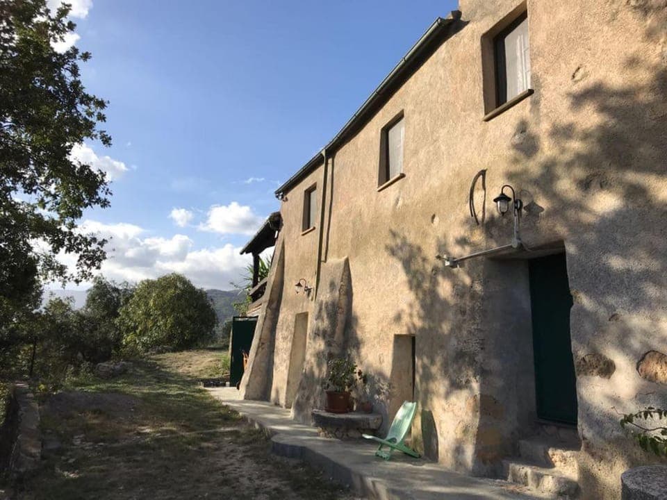 Property building, Street view