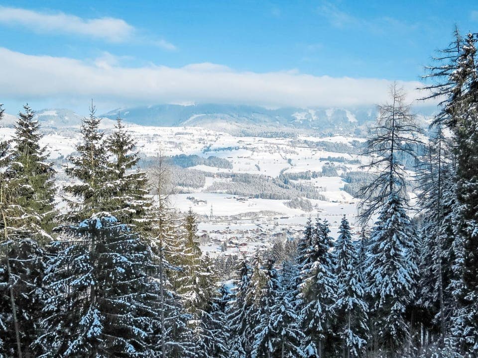 View (from property/room)