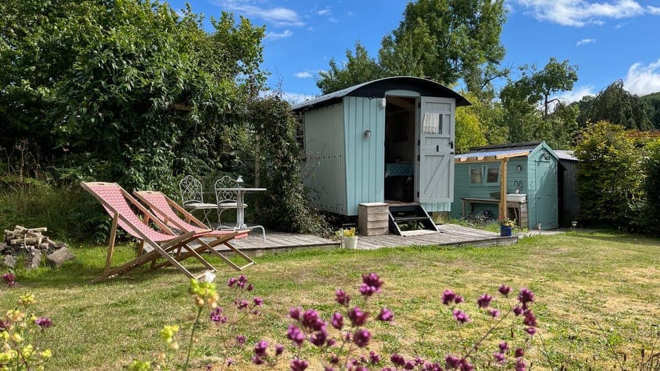 Property building, Natural landscape, Garden, sunbed