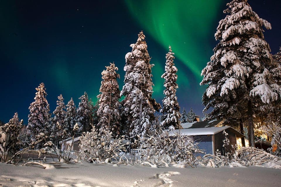 Garden, Balcony/Terrace, Garden view