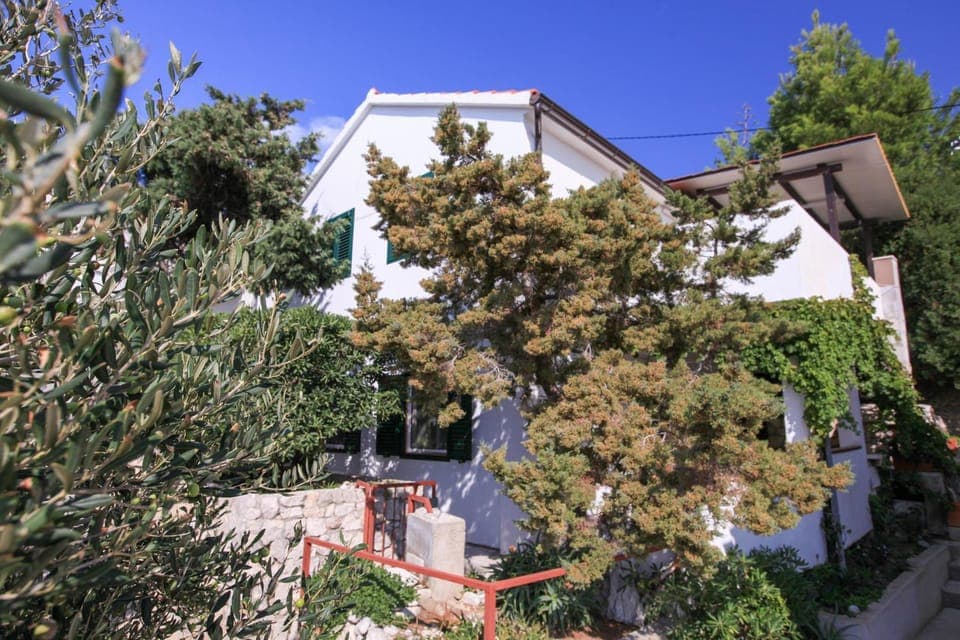 Property building, Facade/entrance, Garden, View (from property/room), Other, Decorative detail, Street view
