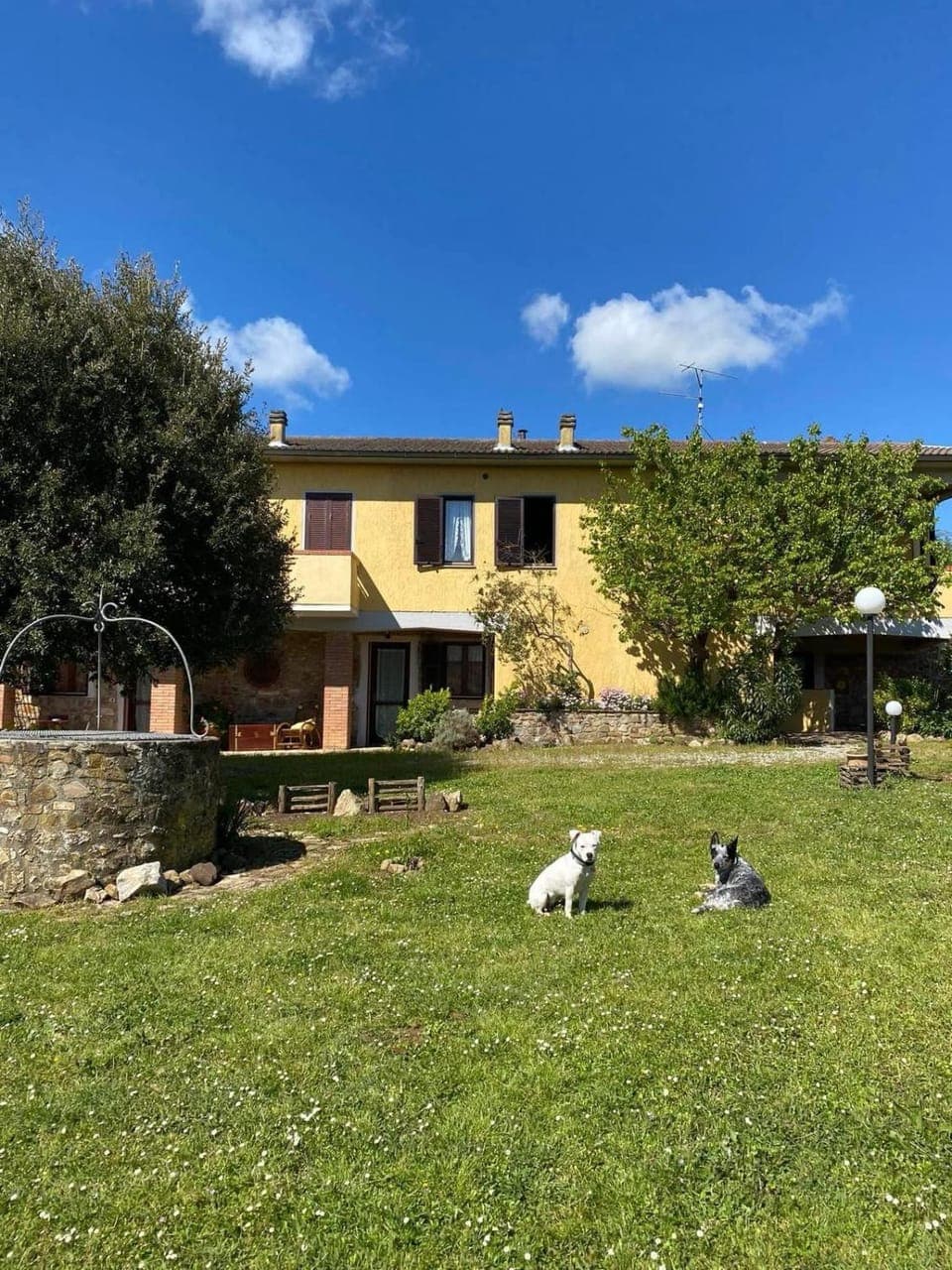 Property building, Garden