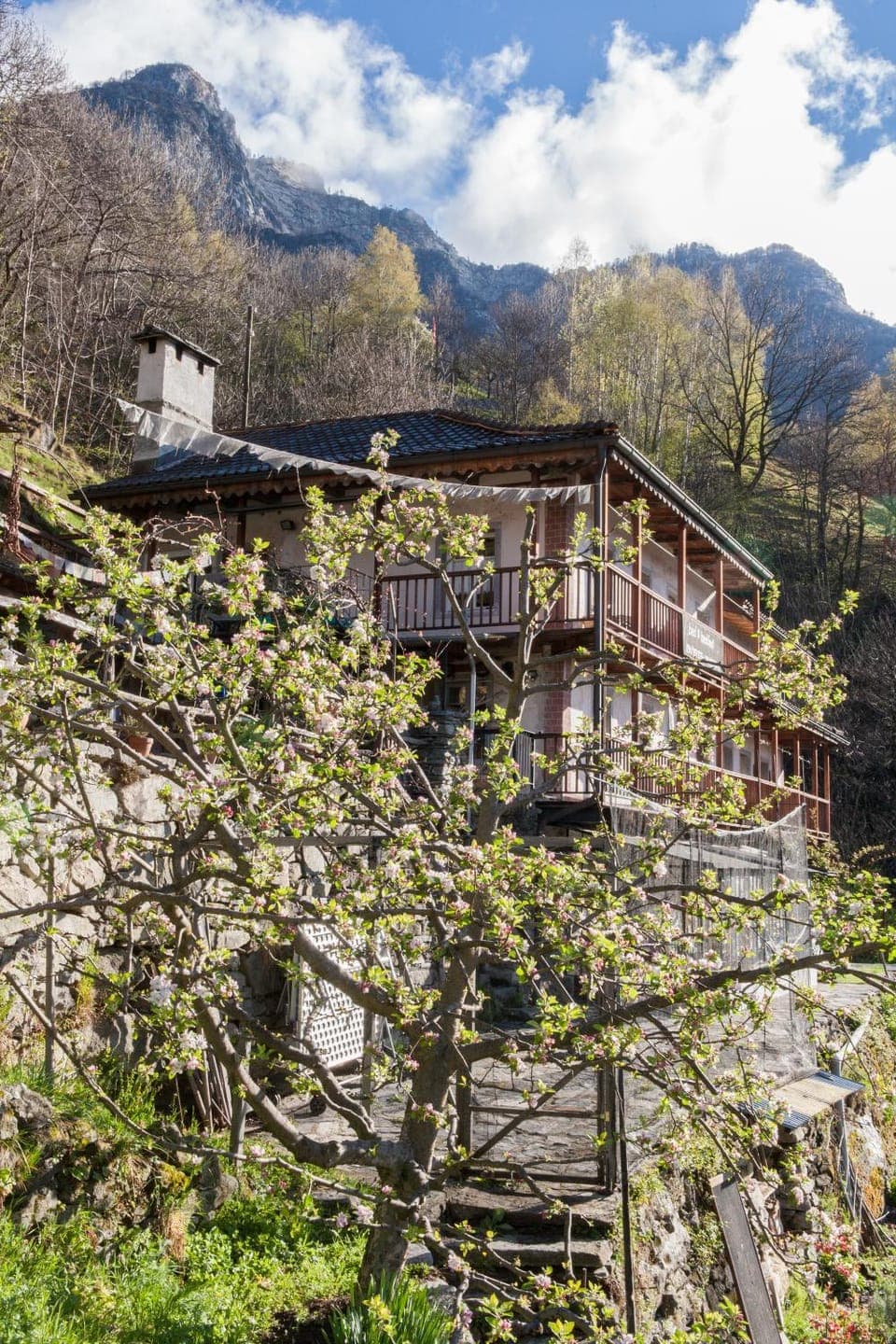 Facade/entrance, Mountain view