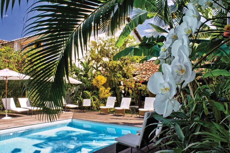 Day, Natural landscape, Garden, Garden, Pool view, Swimming pool, Swimming pool, sunbed