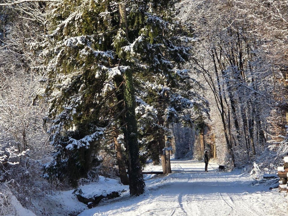 Day, Natural landscape, Winter, Hiking