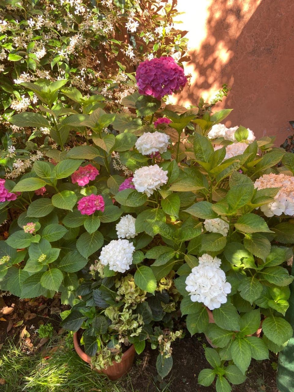 Spring, Day, Garden, Garden view